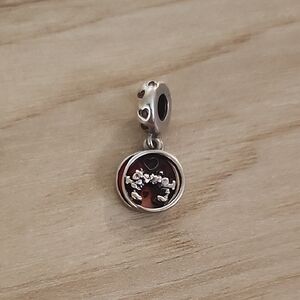 Elegant Silver and Red Charm Pendant